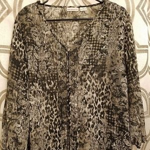 Sheer Blouse